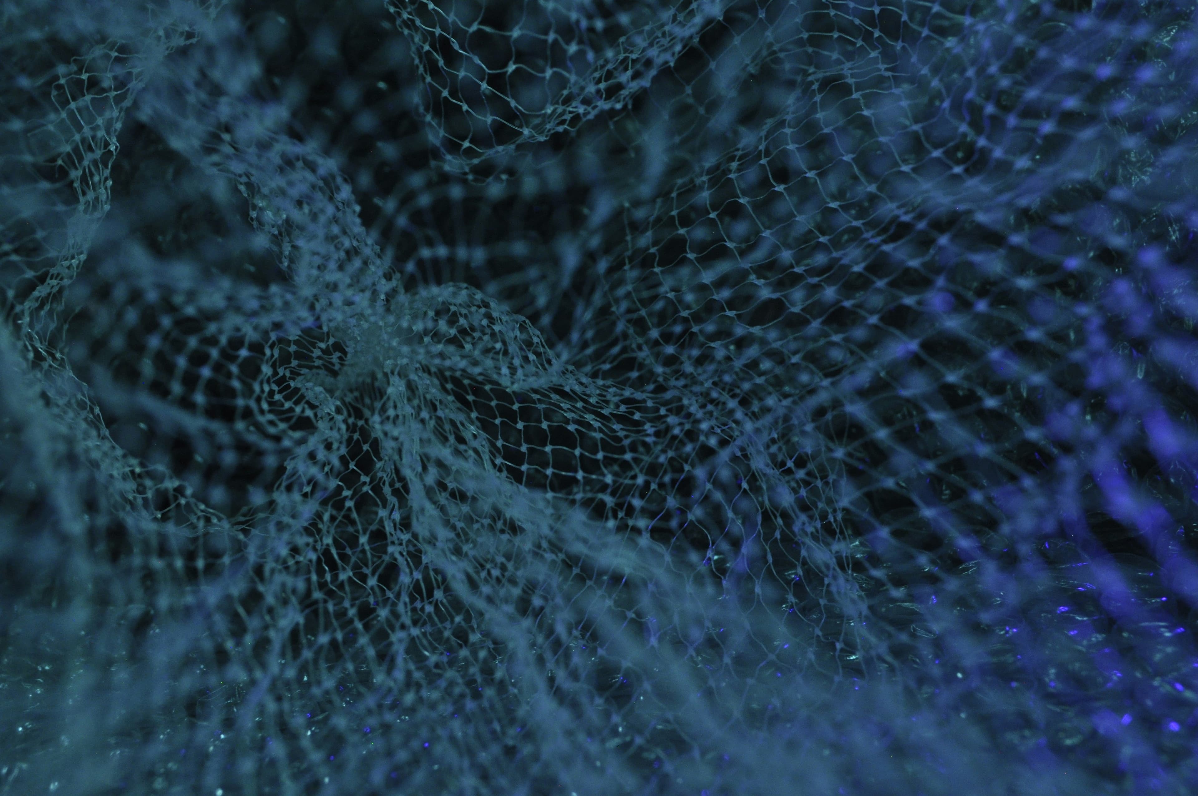 Nền tảng xây dựng “Digital Identity” cho AI Agent